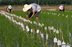 農(nóng)業(yè)氣象觀測(cè)設(shè)備有什么作用